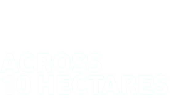 Asset 479.png
